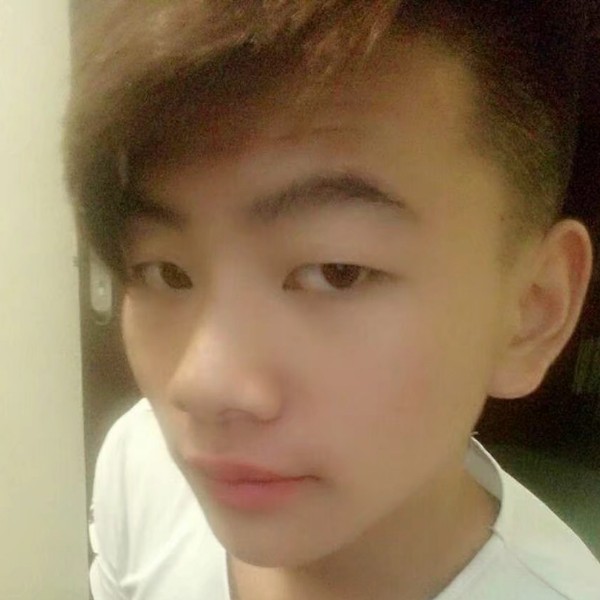 怀念龙的照片