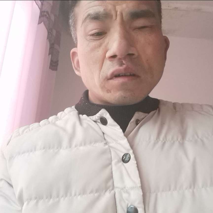 西牛闻甜美的照片