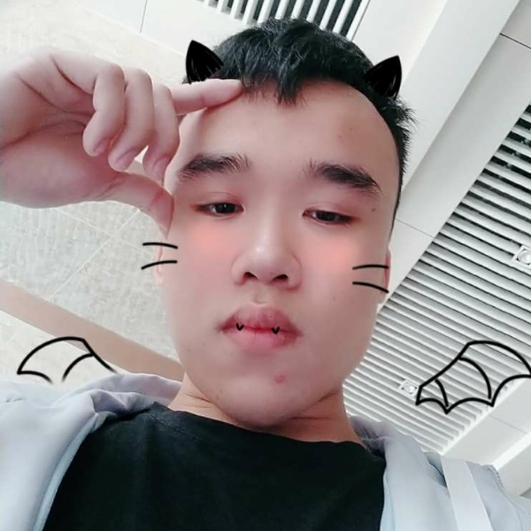 拉长蹁跹曲奇的照片