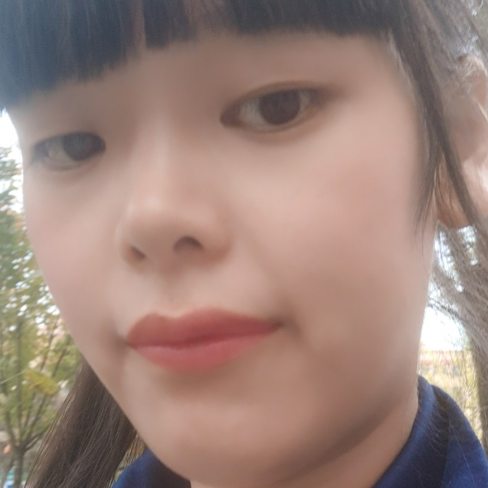 斯文鸵鸟的照片