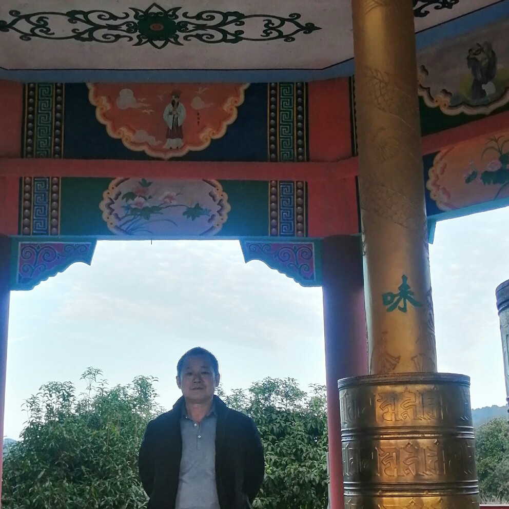 小鸭子拾忆俏皮的照片