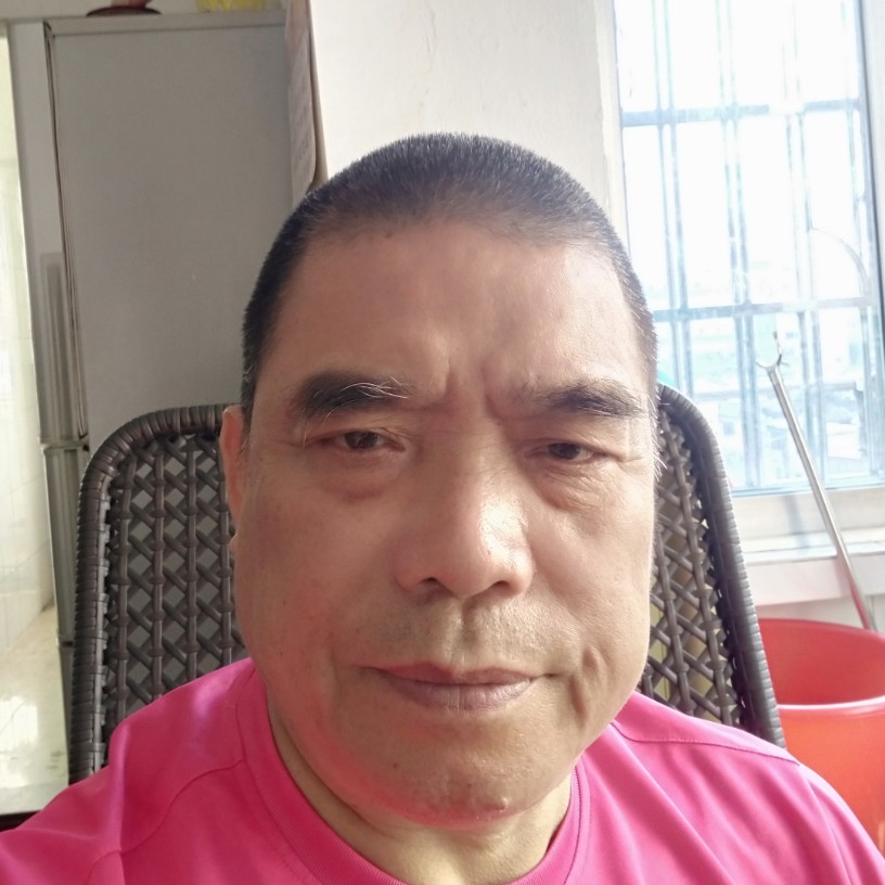 粗暴方小刺猬的照片