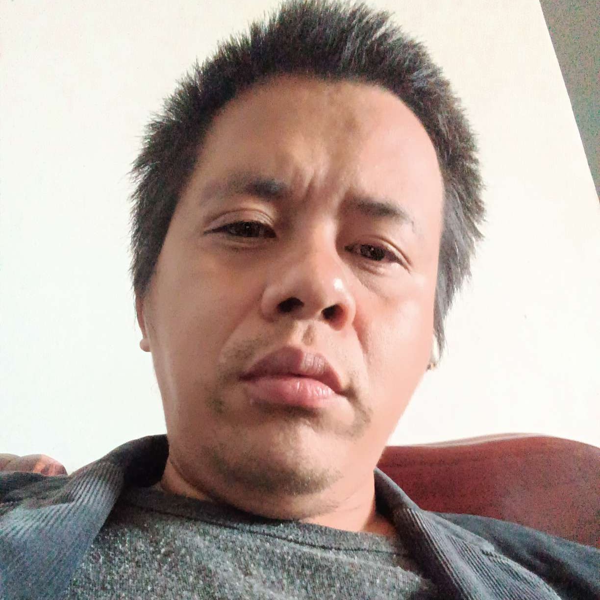 灰狼多么有魅力的照片