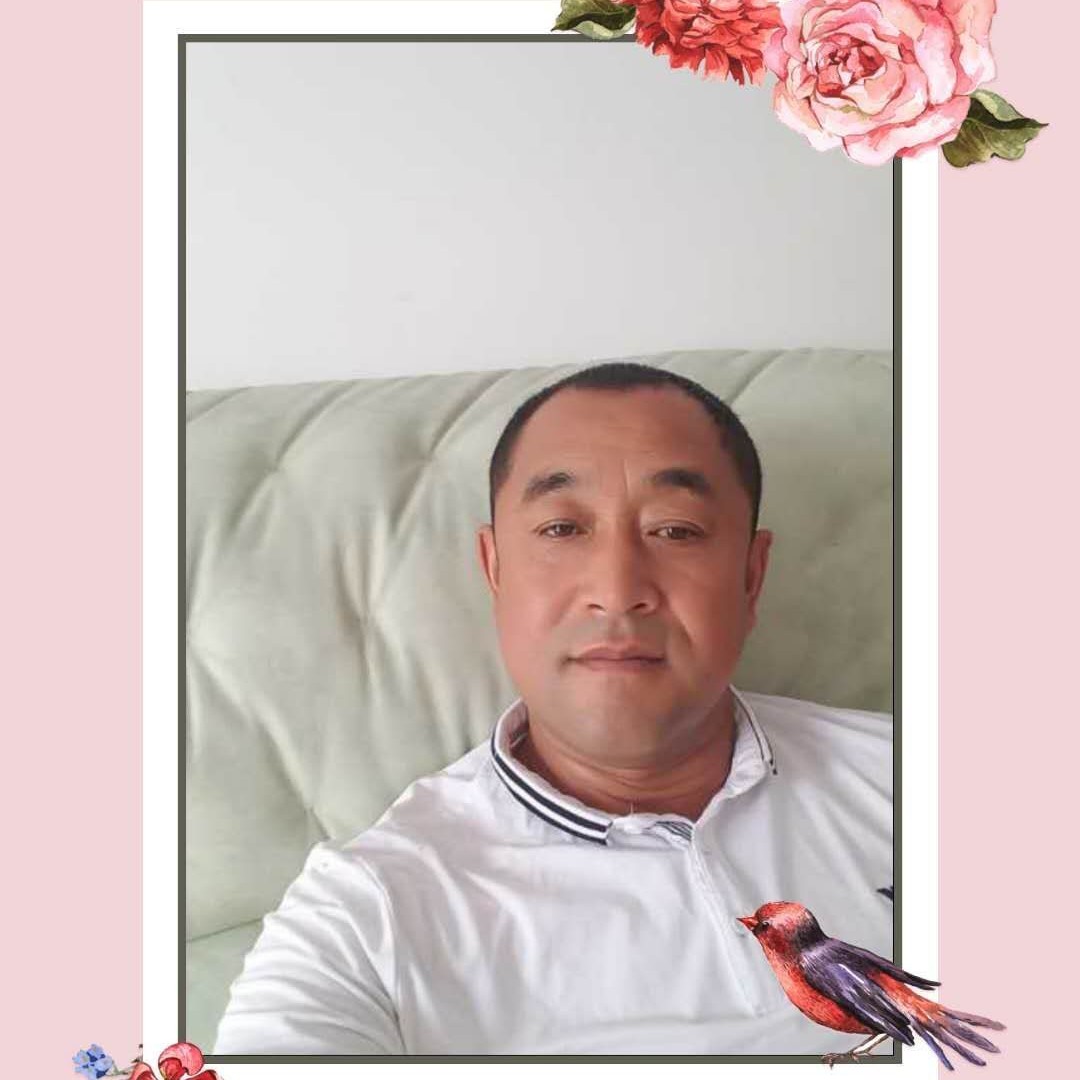 红玫瑰等待动人的照片