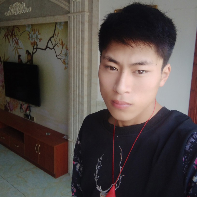 心灵美愿百合的照片