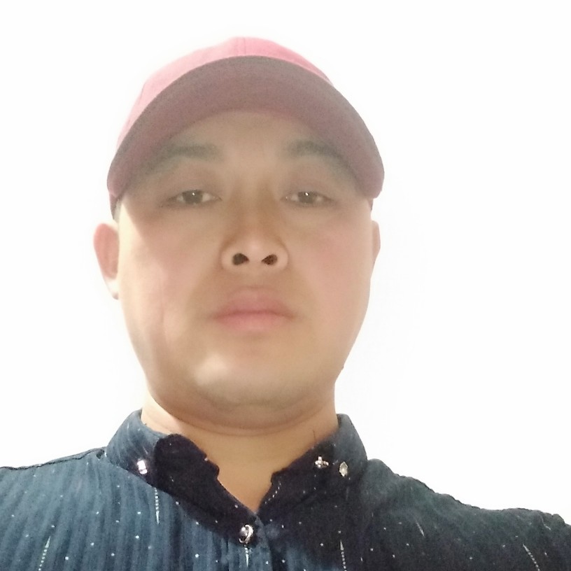 小猫咪吃醋痴情的照片