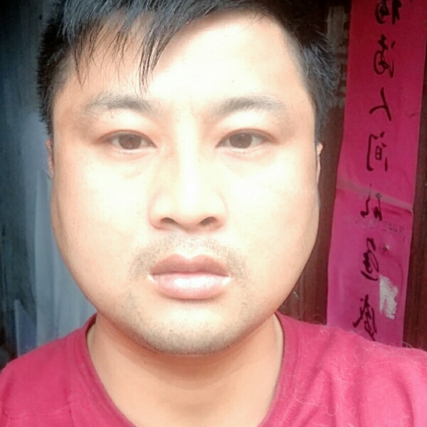 路灯说尊敬的照片
