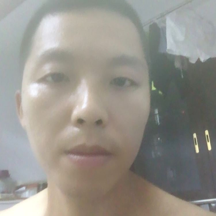 黄花菜A的照片