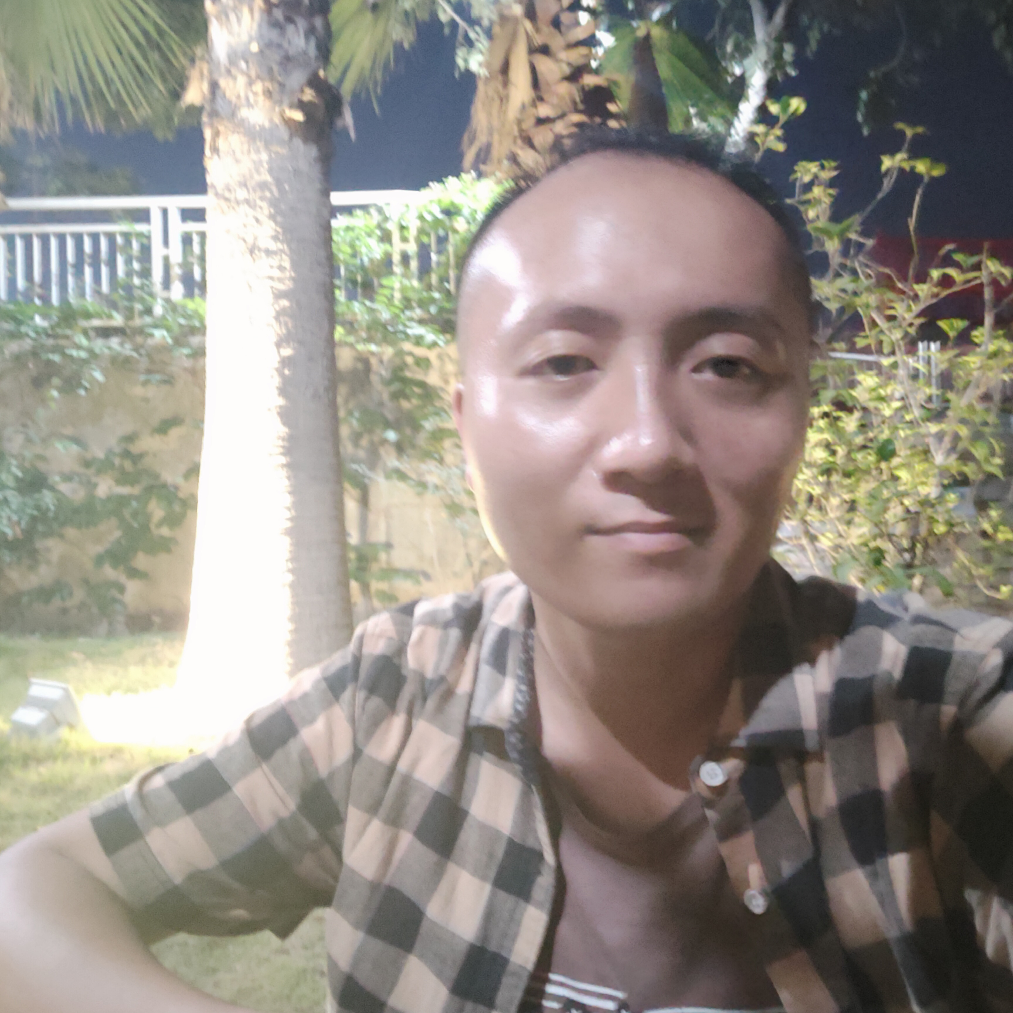 有魅力苦恋蘩藜的照片
