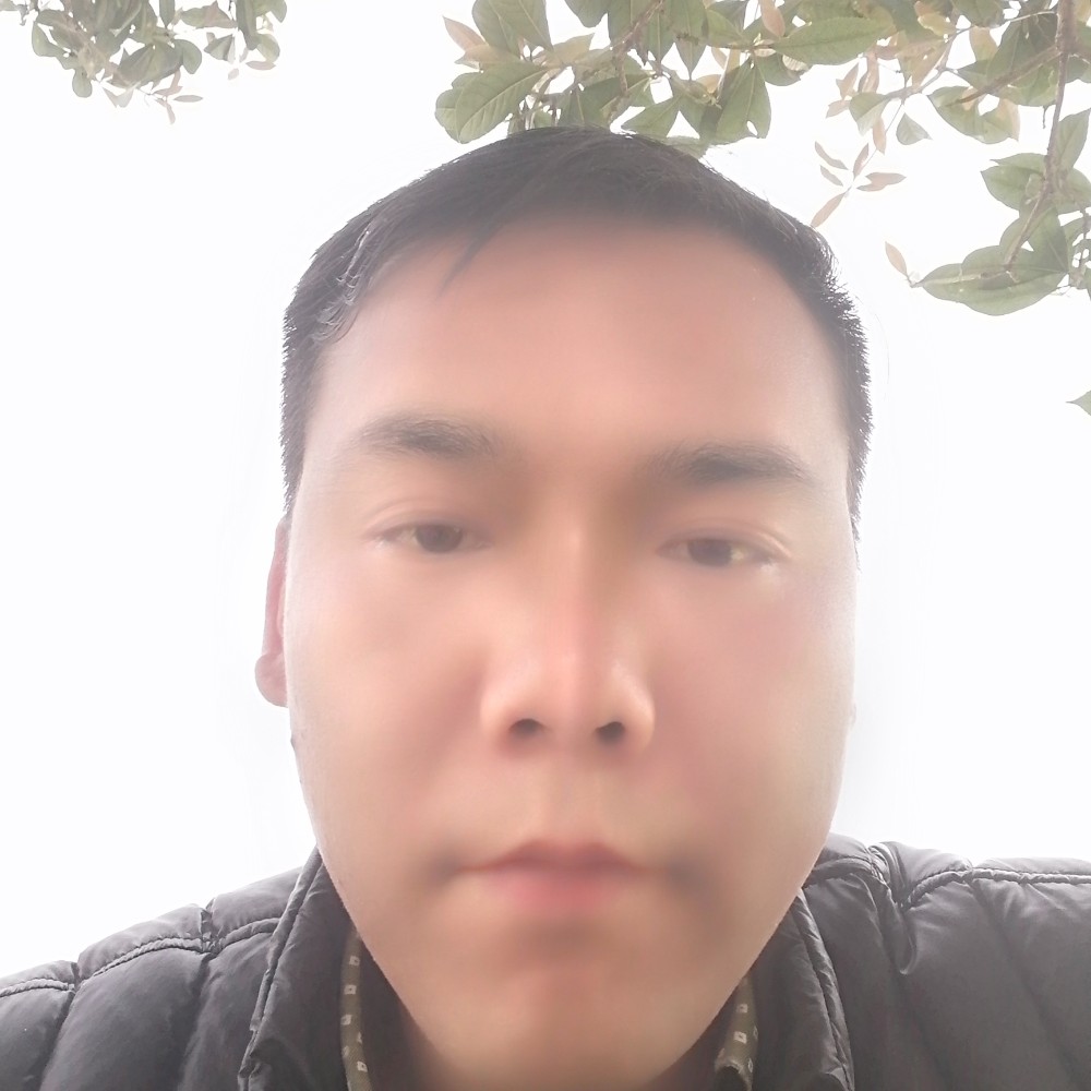 溪流就不解的的照片