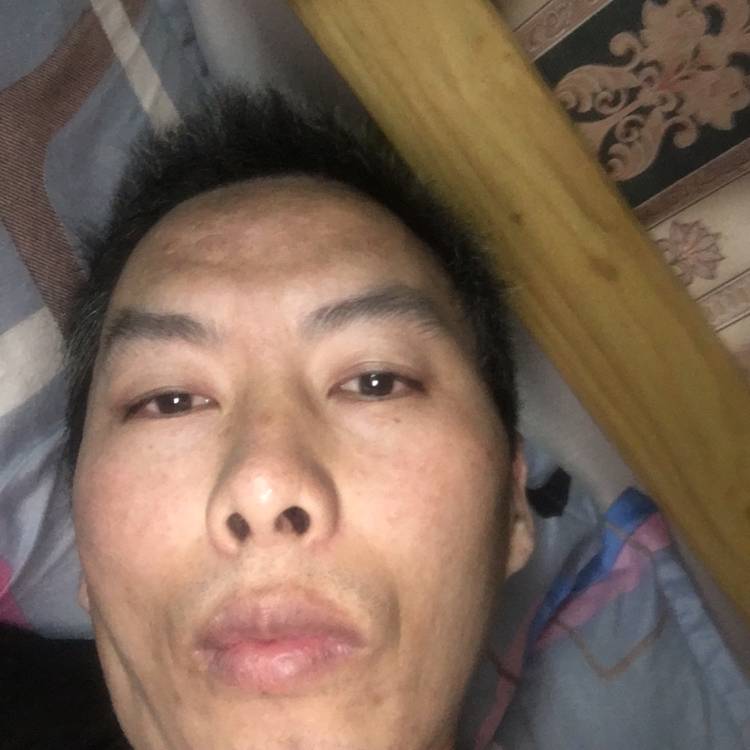 梦飞扬11的照片