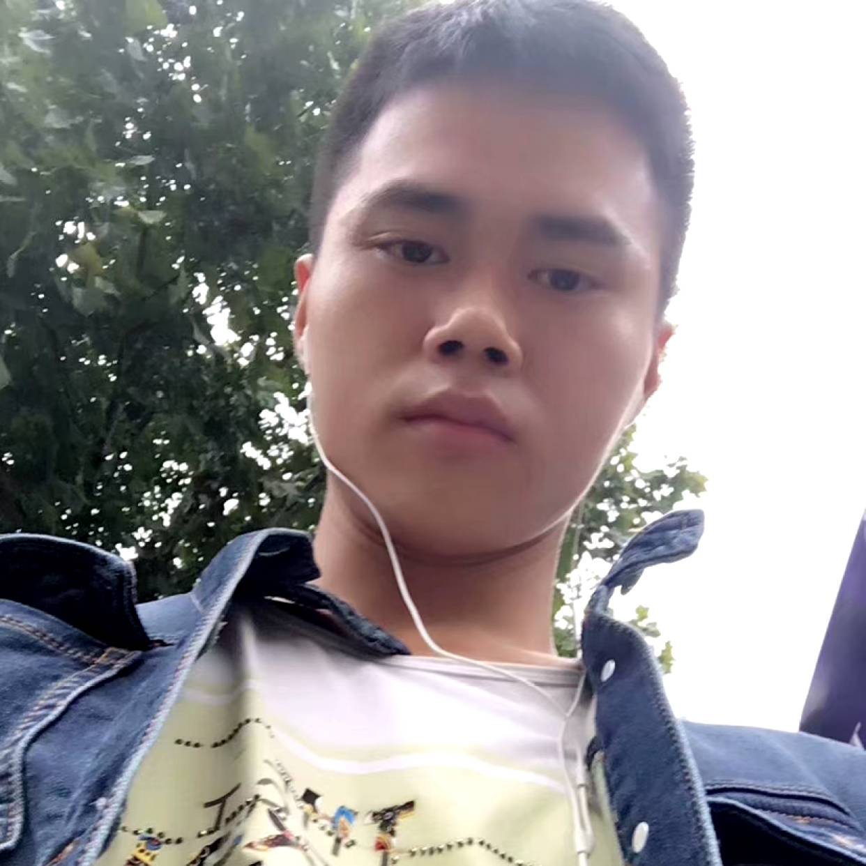 玫瑰漫步最后的的照片
