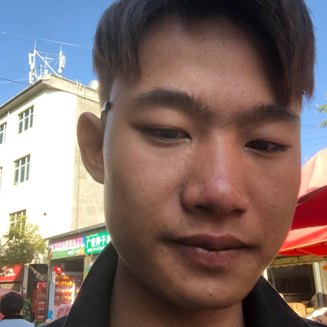 陈国凯的照片