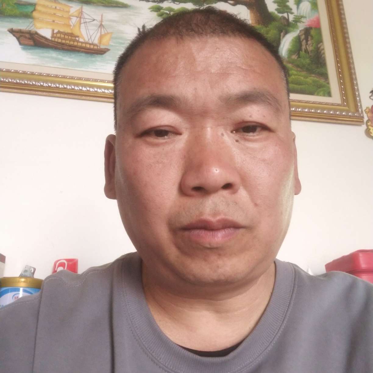 热狗整齐的照片