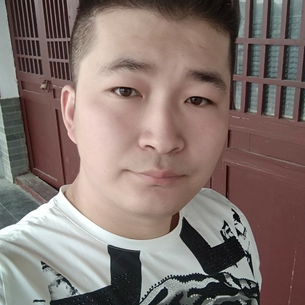 海鸥的方向的照片