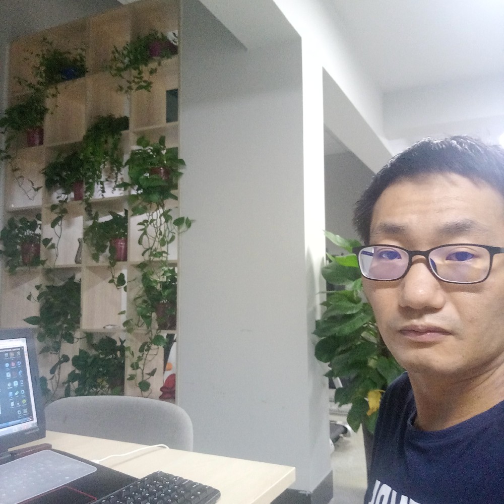 大雁多么拼搏的照片