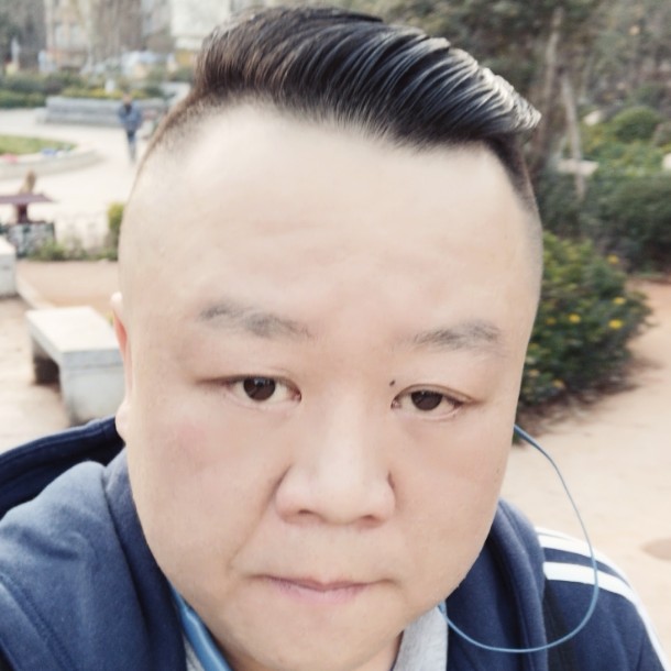 菠萝冰糕的照片