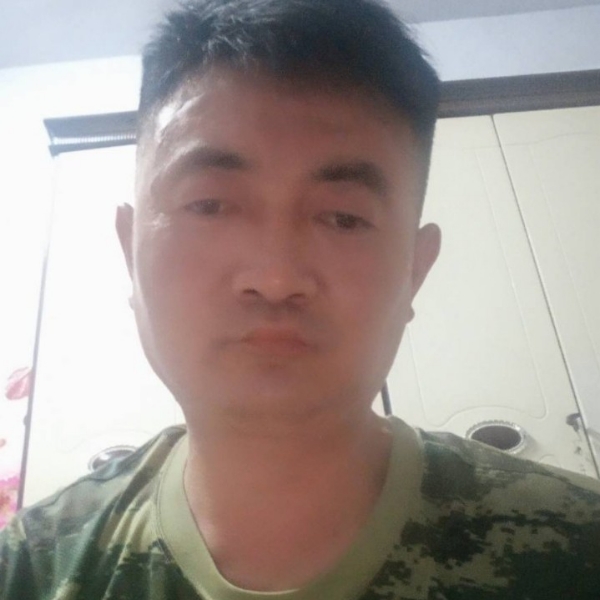 冲天飞鹰的照片