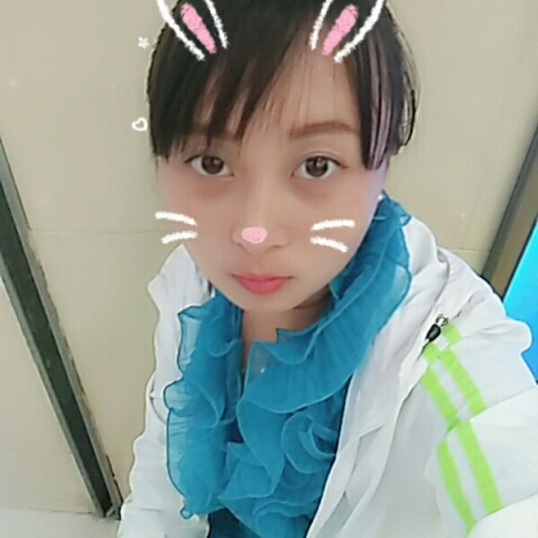 温柔羽毛的照片