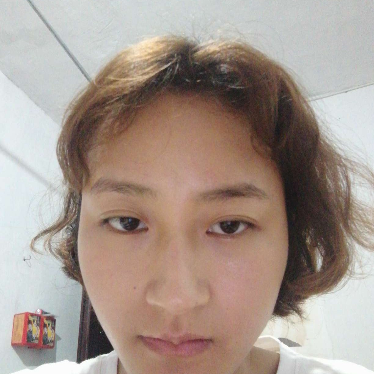 执着倾心糖豆的照片