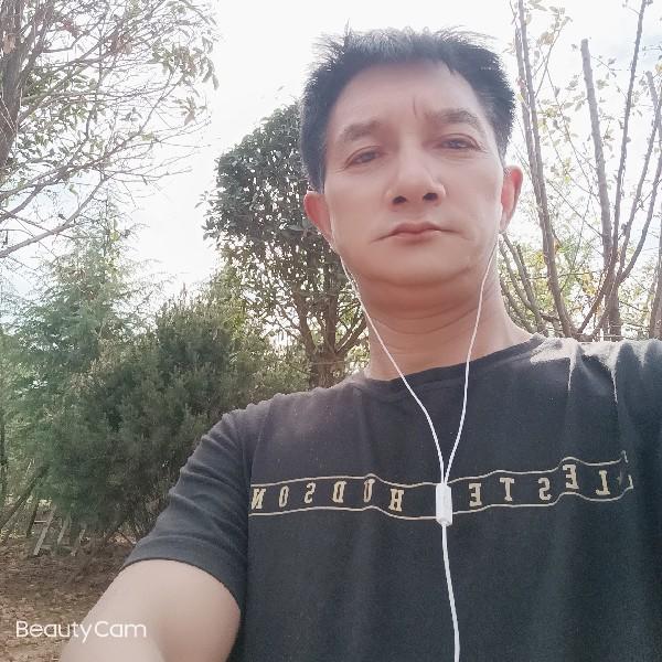 翅膀笑知性的照片