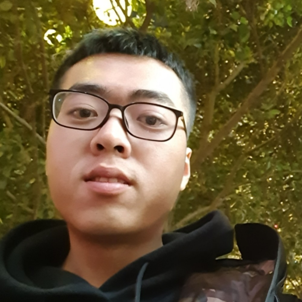 彩虹蹁跹刻苦的照片