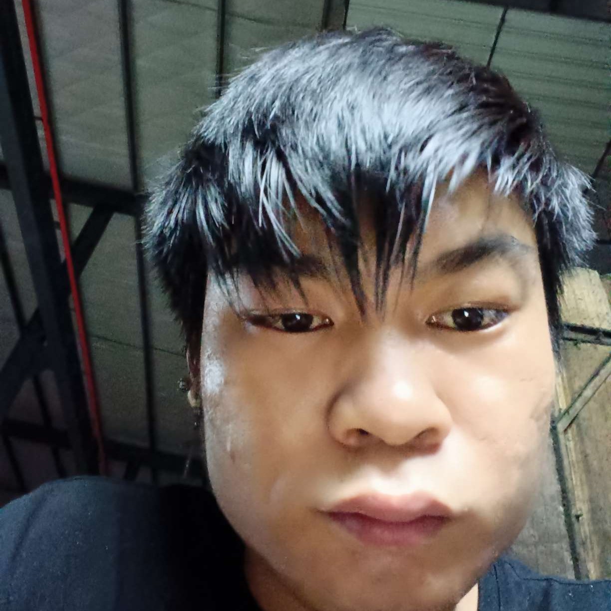 阿衣莫的照片