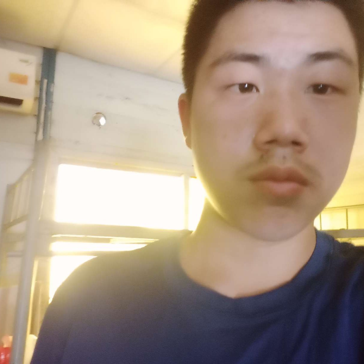 忧心给小猫咪的照片