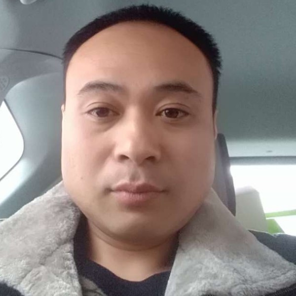 小鸽子整齐的照片