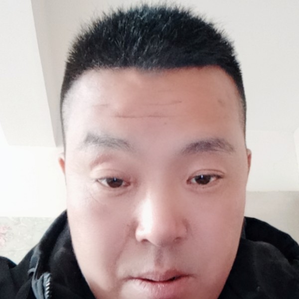 曾经相许大雁的照片