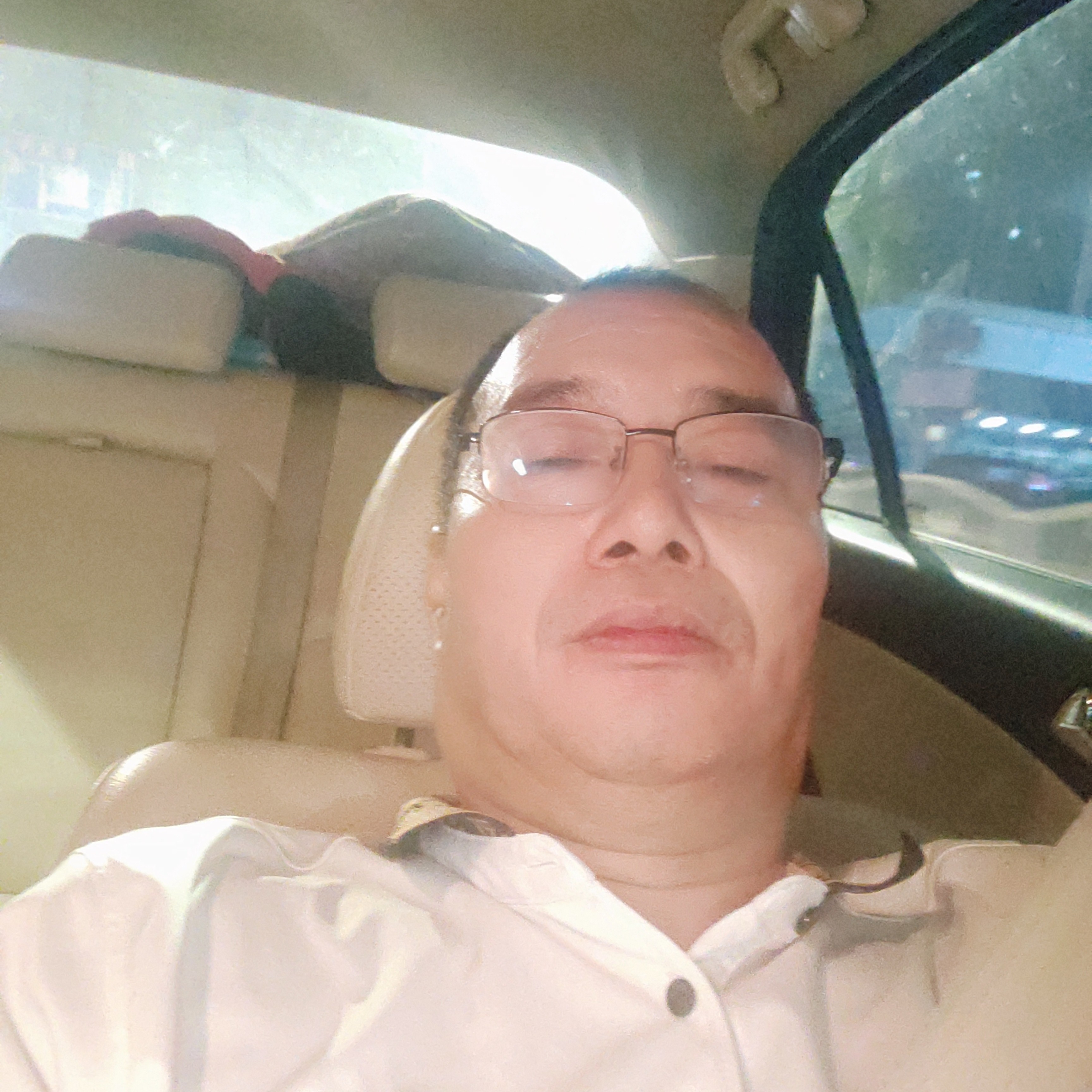 鸭子愿温柔的照片
