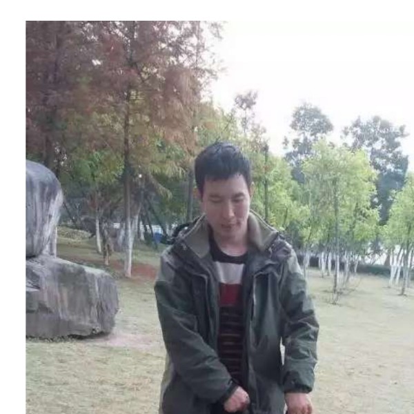 哈密瓜拾忆苗条的照片