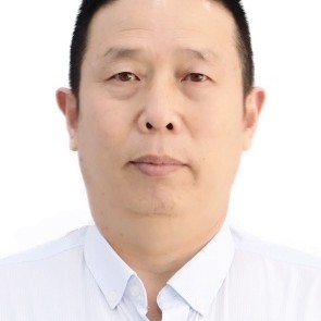 大雁扯鳗鱼的照片