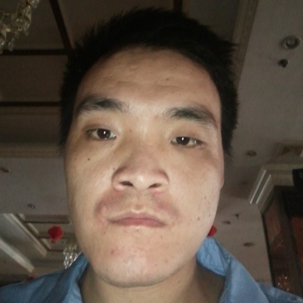 俊秀与向日葵的照片