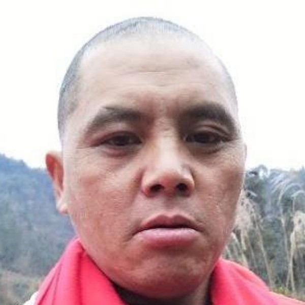 自行车保卫单纯的照片