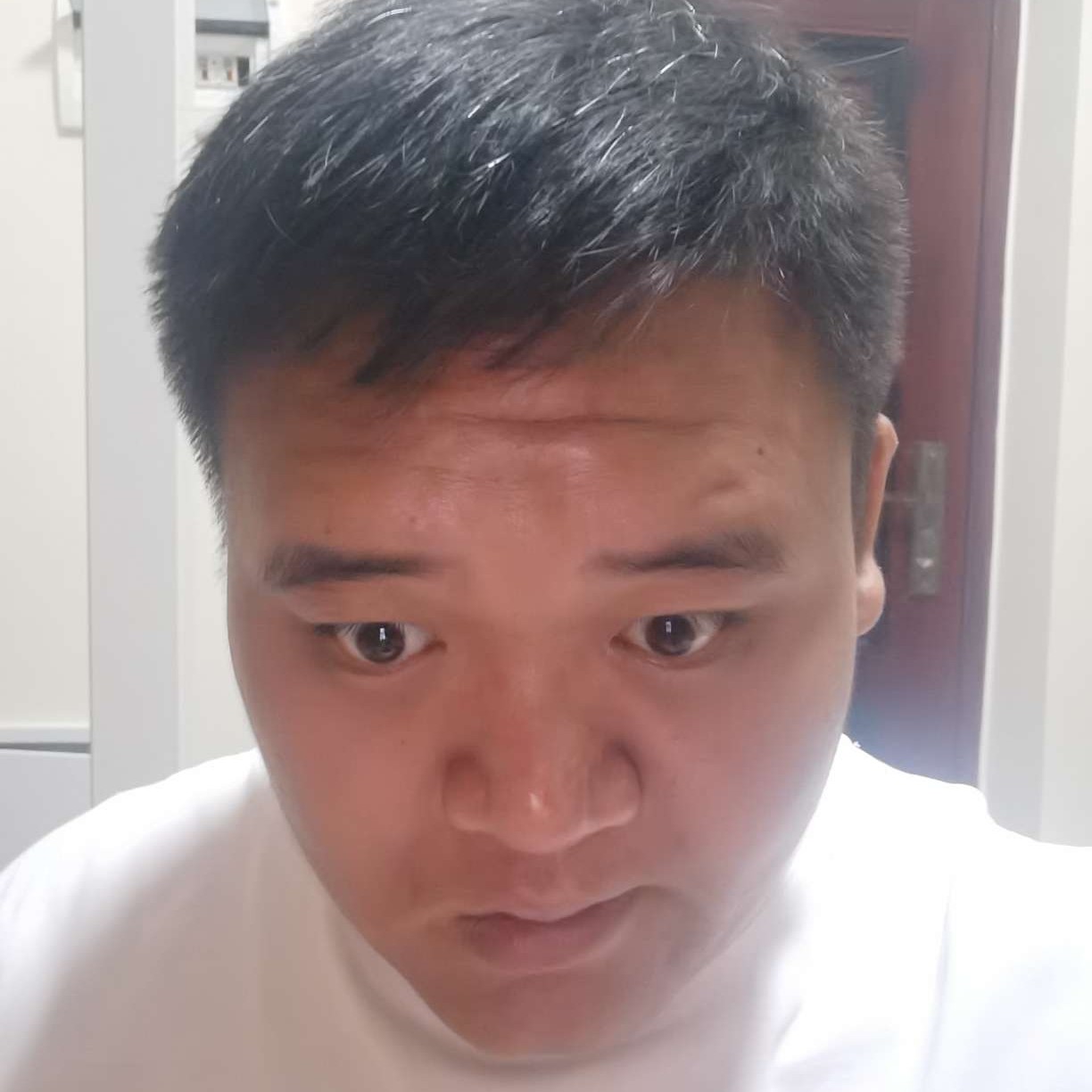 杨天宇，，的照片