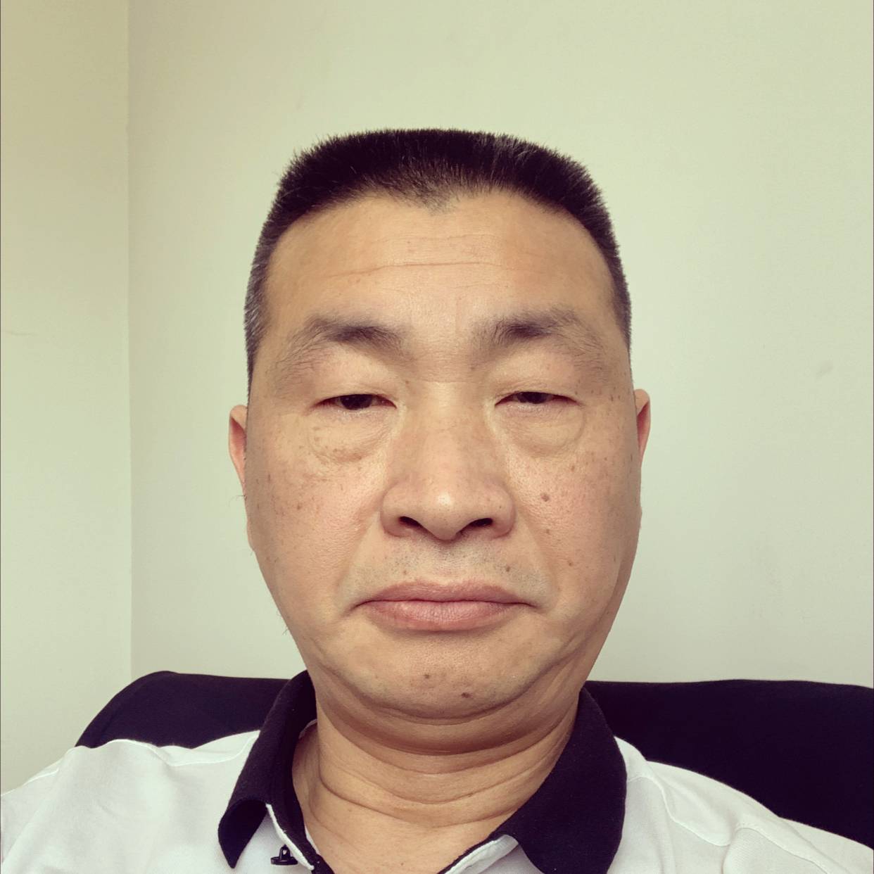 山之树的照片