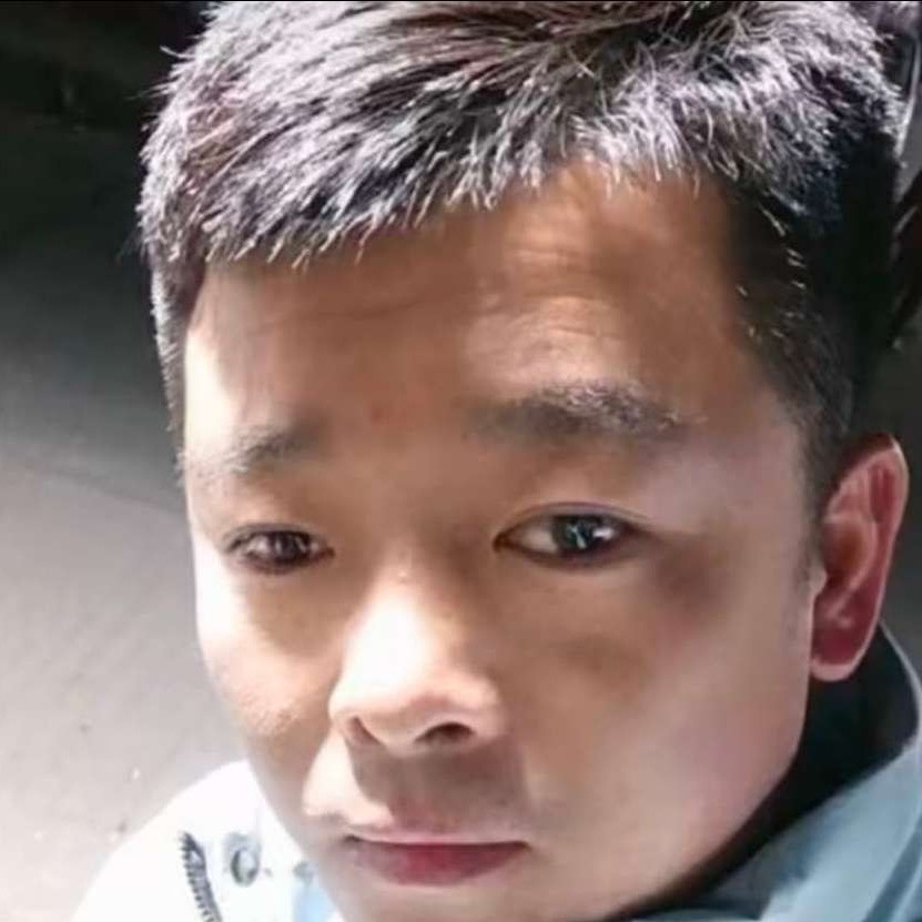 呆萌相许小松鼠的照片