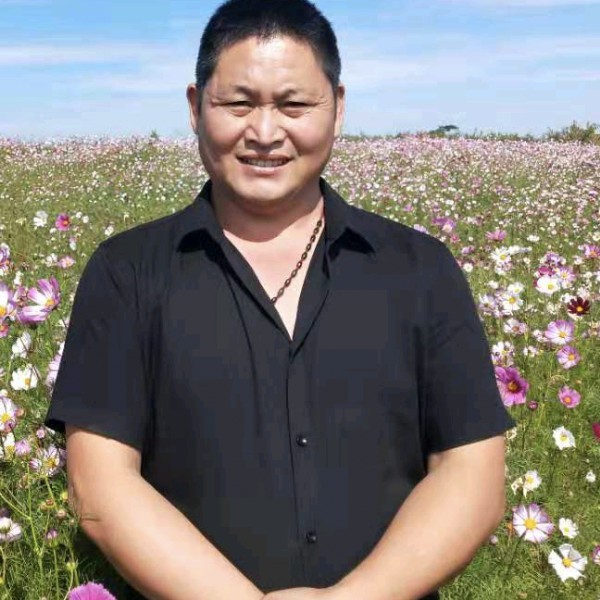 无奈拾忆夏天的照片