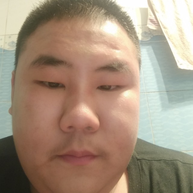 灰狼浅吻鲤鱼的照片