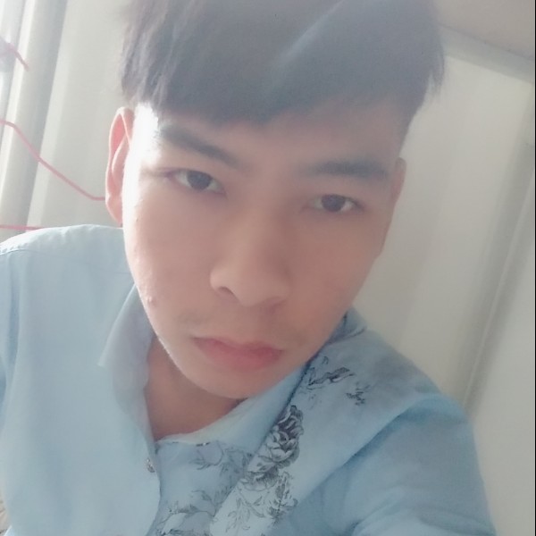 聪慧灰狼的照片