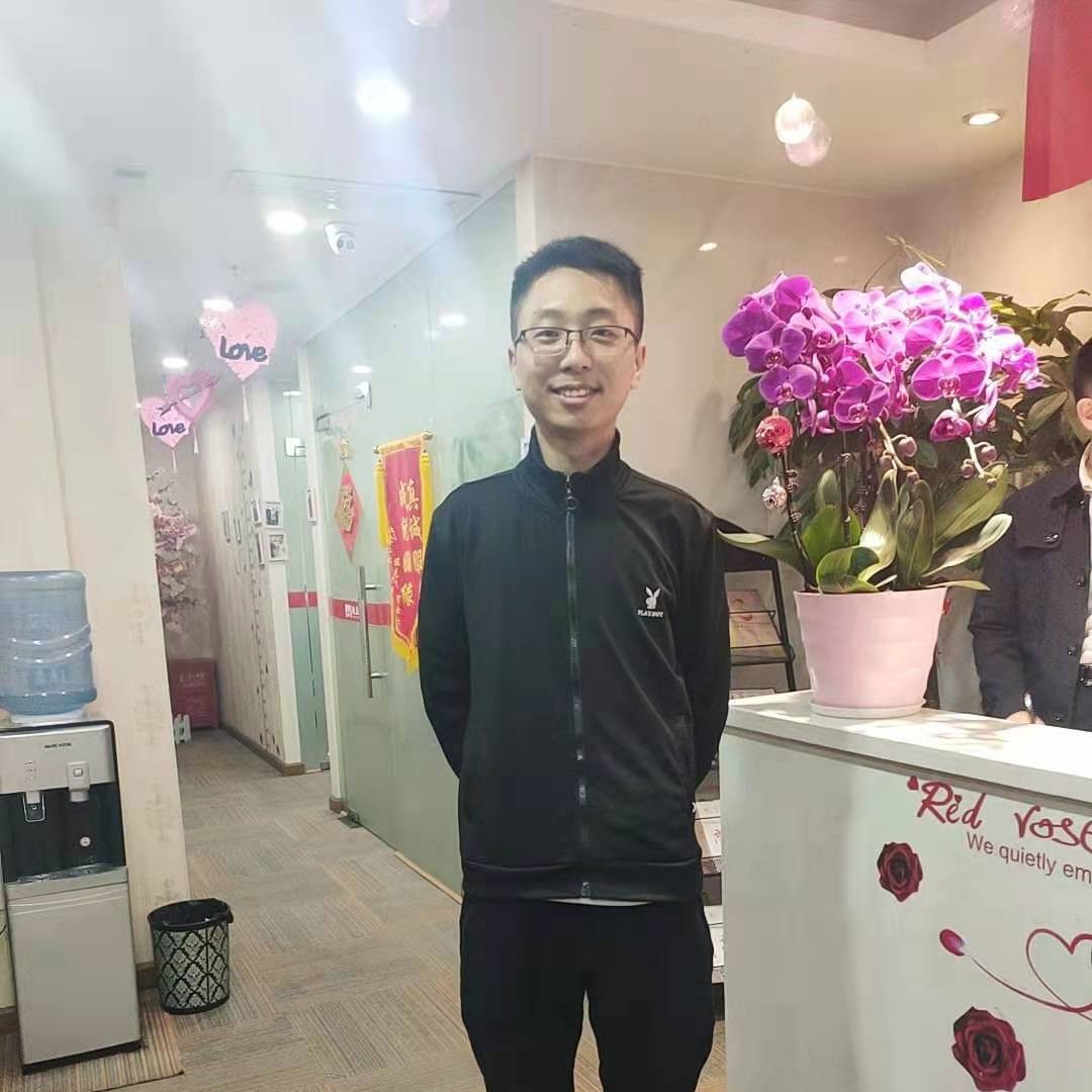 蹲在树上的鱼的照片
