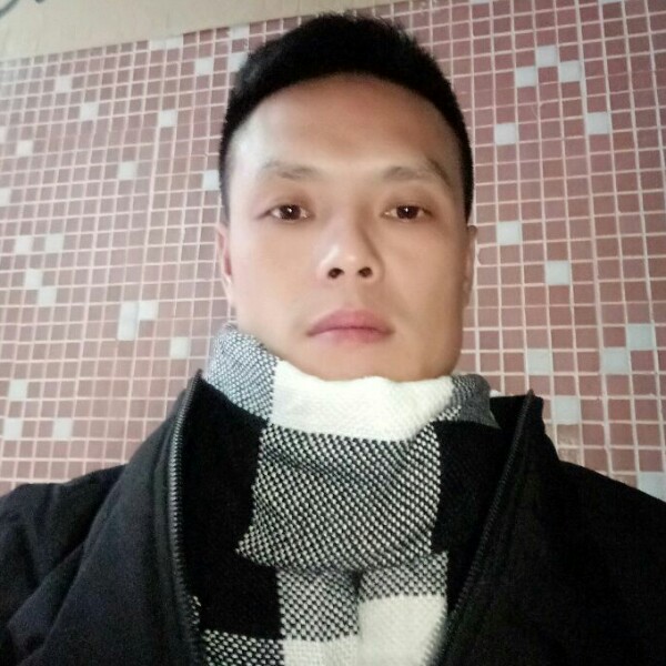 奥迪日月共明的照片