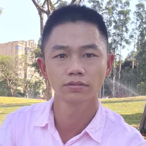 决心Z的照片