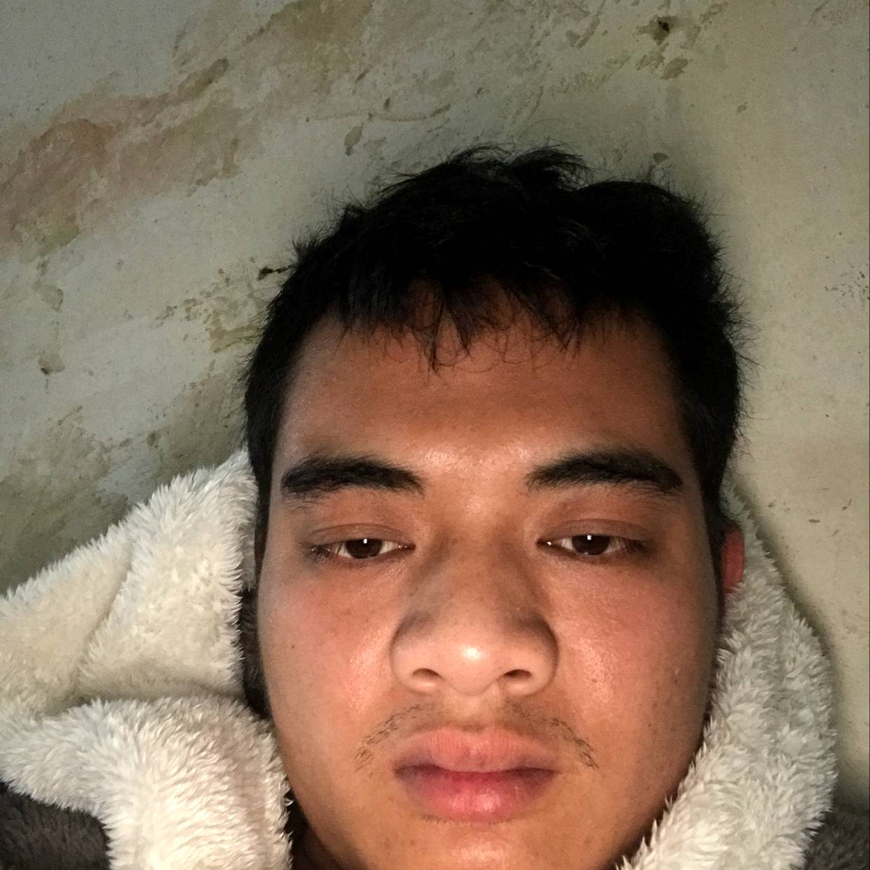 西牛愿黯然的照片