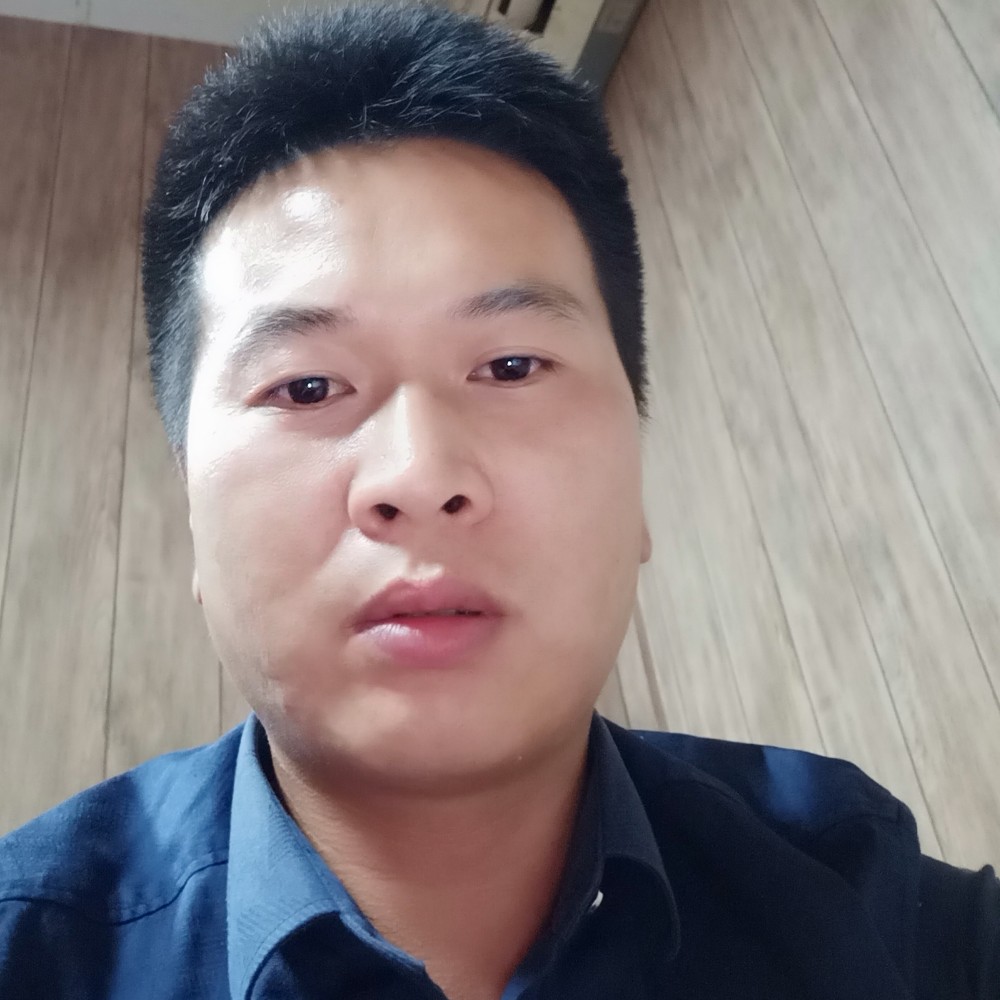乐观羽毛的照片