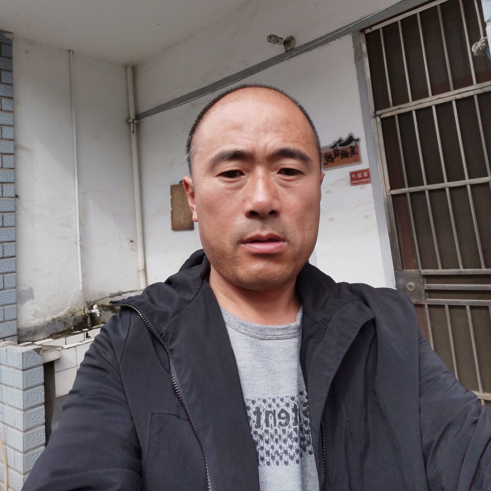秋天的枫叶红的照片