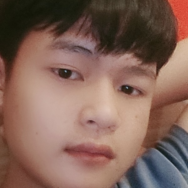 漂亮倾心星星的照片