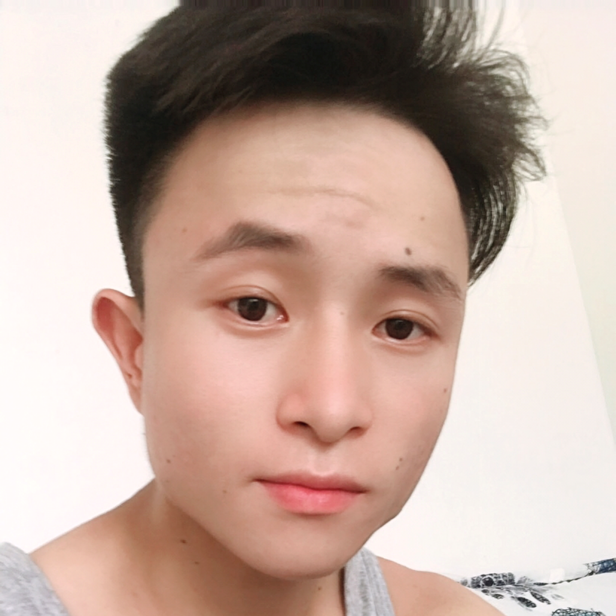 黄蜂老迟到的照片