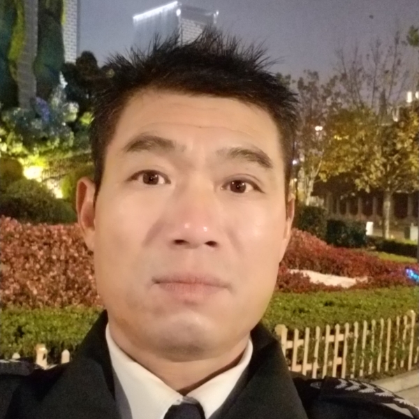 苗条羊的照片